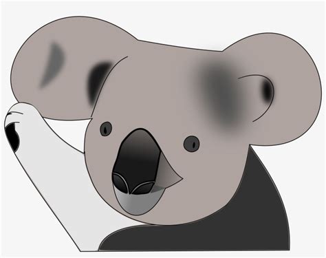 Medium Image Gambar Kartun Koala Lucu Transparent Png 800x595