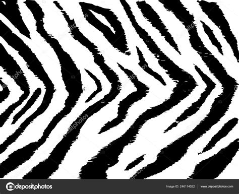 Tiger Stripe Texture Black White Monochrome Pattern Stock Vector Image