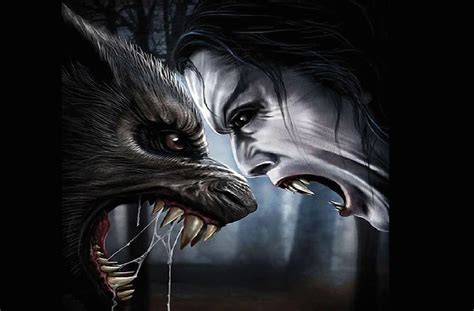 Werewolf Vs Vampire Wallpapers Wallpaper Cave