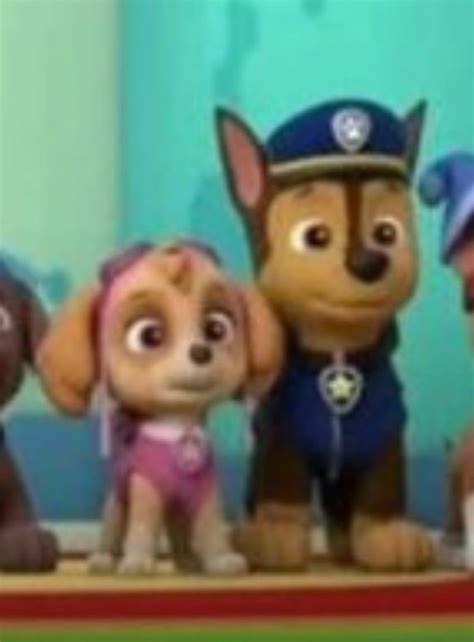 Paw Patrol Pups Chase Paw Patrol Zuma Furry Art Kissing Skye