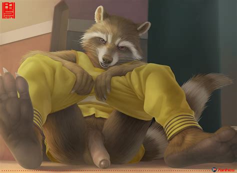 Rule If It Exists There Is Porn Of It Anhes Rocket Raccoon
