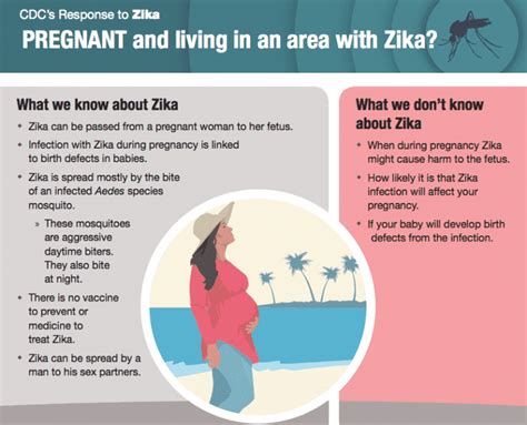 Ri Reports First Travel Related Zika Virus Case Local Cases Unlikely