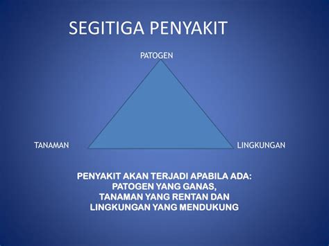 PPT - KOMPONEN OPT PowerPoint Presentation, free download - ID:6278150