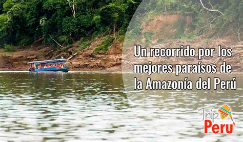 Un Recorrido Por Los Mejores Paraísos De La Amazonía Del Perú
