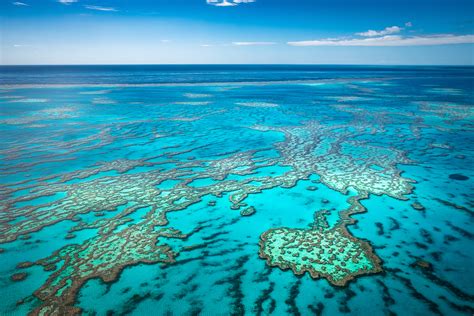 Australian Scientists Discover Coral Reef Taller Than The Empire State