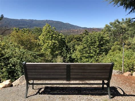 Tucked behind a mature vineyard of cabernet sauvignon grapes, just off highway 12 in glen ellen, lies one of the most exotic and biologically diverse places in sonoma valley—a hidden gem that most sonomans are unaware exists. Quarryhill Botanical Garden | Glen Ellen, California | Flickr