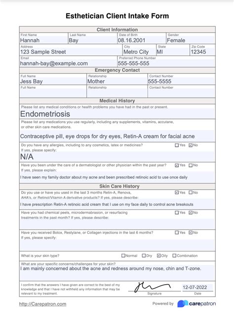 Esthetician Client Intake Form And Template Free Pdf Download