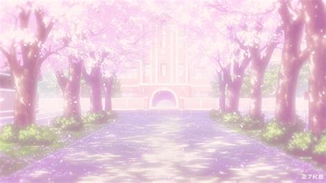 Best Cherry Blossom Forest S Gfycat