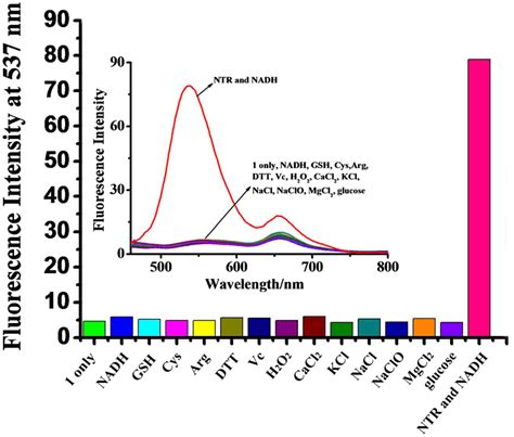 Fluorescence Activities Of Probe 1 1 0 10 5 M To Various
