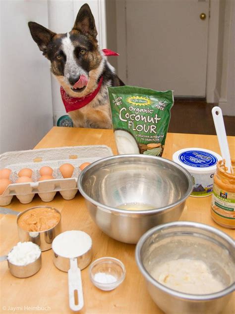 Search on info.com for dog bday cake recipe. How to make a dog birthday cake | Dog cake recipes, Dog ...