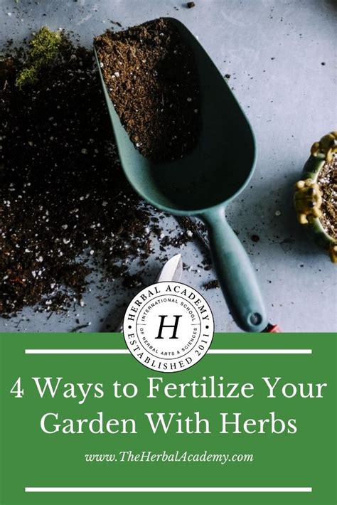 4 Ways To Fertilize Your Garden With Herbs Herbal Academy