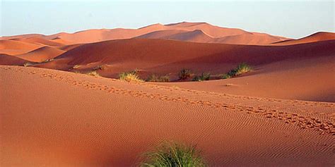 Descubre Qué Se Puede Ver En El Desierto Del Sáhara Actualidad Viajes