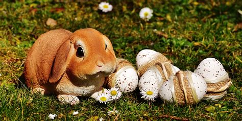 Easter Rabbit Eggs Wallpaper Hd Holidays 4k Wallpapers Images