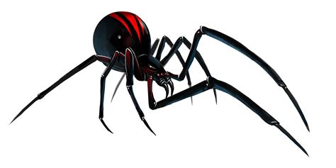 View Topic Guild Wars 2 Pet Class Spider Art Black Widow Spider