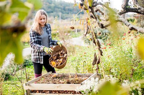 4 Fall Cleanup Tips To Help Your Garden Reach Its Full Potential Come