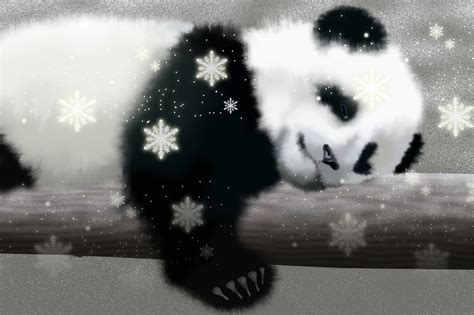 🔥 47 Cute Anime Panda Wallpaper Wallpapersafari