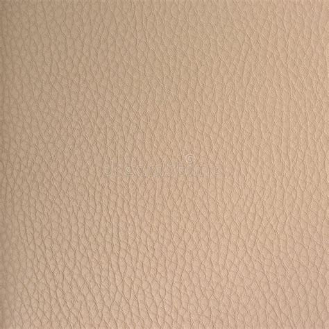 Brown Cream Leather Texture Stock Photo Image Of Animal Nature