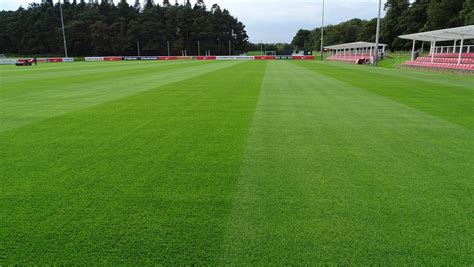 Football Pitch Construction Grass Hybrid And Artificial Football Pitch