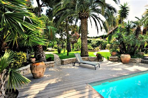The 9 Best Trees For Landscaping Around Pools
