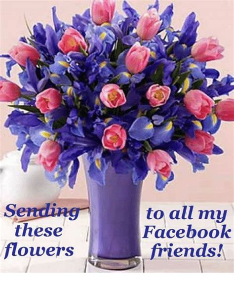 A few weeks ago i had the pleasure of visiting. Sending to All My These Facebook Flowers Friends! | Meme ...
