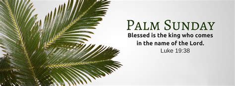Palm Sunday Service Of The Palms St Pauls Cleveland East Redland