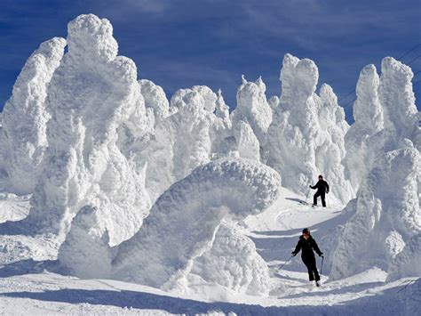Go Skiing in Japan - Magnificent Japan