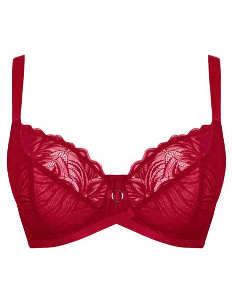 curvy kate lace daze balcony bra ck044100 underwired sexy supportive bras red ebay