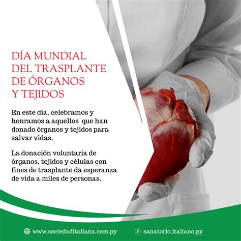 Día Mundial Del Trasplante De Órganos Y Tejidos Sociedad Italiana