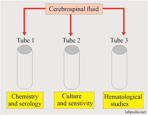 Cerebrospinal Fluid Analysis Part CSF Complete Examination Normal Abnormal CSF Labpedia Net
