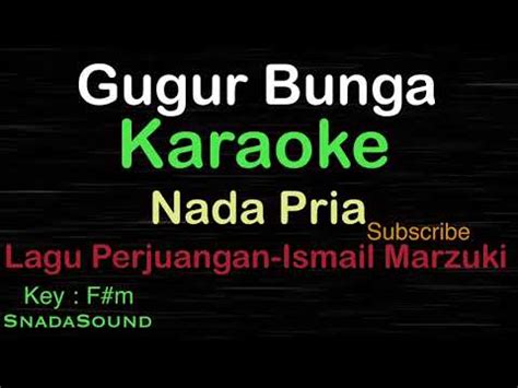 GUGUR BUNGA-Lagu Perjuangan|KARAOKE NADA PRIA@SnadaSound - YouTube