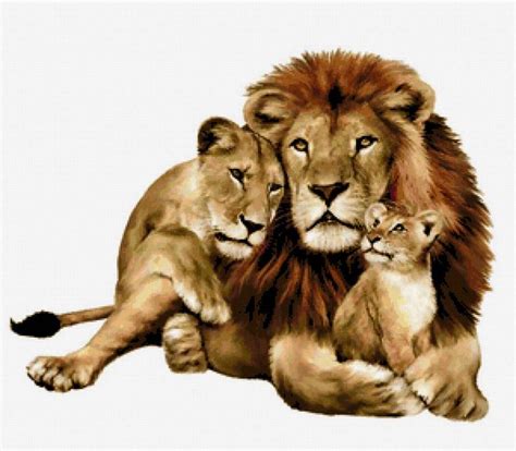 Pin De Vera Em ЛЕВ Fotos De Leão Imagens De Animais Família Do Leão