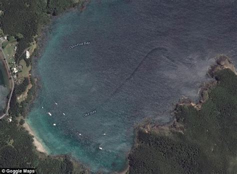 10 mysterious deep sea creatures spotted on google earth50m videos is the #1 place for all your heart warming stories about amazing people that will inspire. Debunked: Sea Creature in New Zealand (Boat Trail on ...