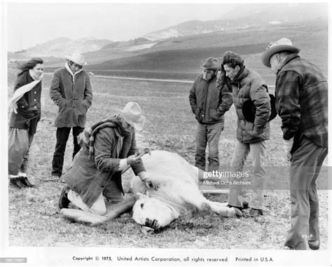 Harry Dean Stanton And Maggie Wellman Watch As A Cow Is Slaughtered