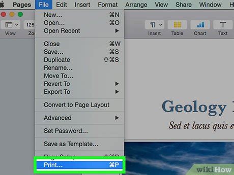 Image compressée au format jpg. How to Convert Mac .Pages Format Into Jpeg: 7 Steps