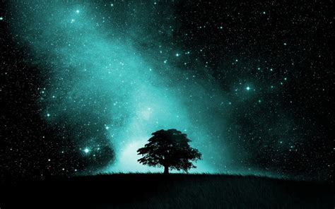Download Star Starry Sky Night Silhouette Tree Artistic Sky Hd Wallpaper