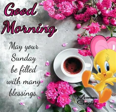 Sunday Fill With Many Blessings Good Morning Sunday Pictures Photos