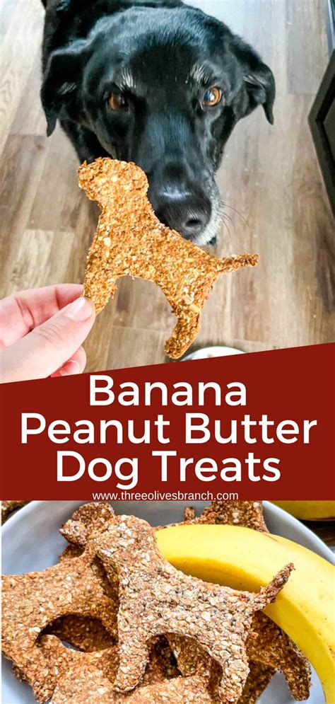 Banana Peanut Butter Dog Treats Three Olives Branch
