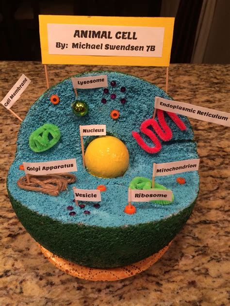 How To Make A 3d Animal Cell Model With Styrofoam Ball Animal Cell