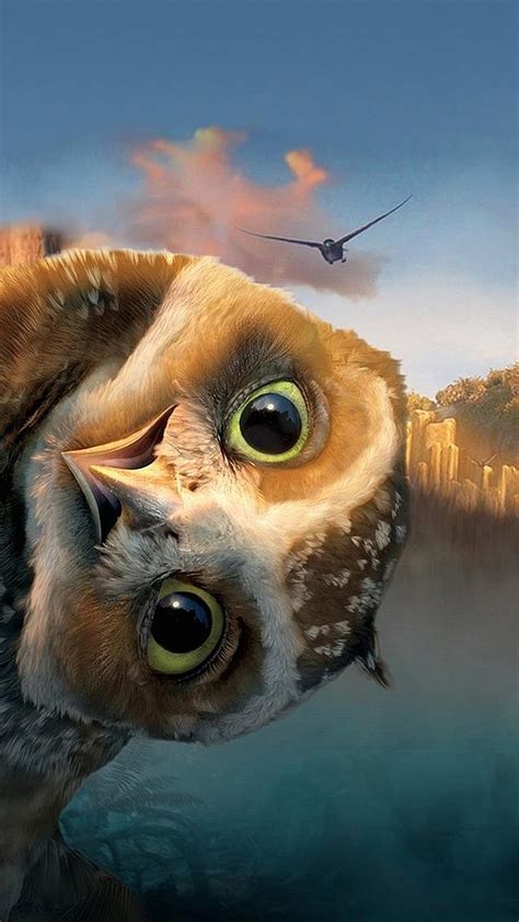 Funny owl - Best htc one wallpapers, free and easy to download