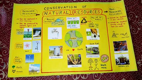 Conservation Of Natural Resources Chart By Aaadarsh Book Art Diy