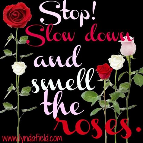 Time To Smell The Roses Quote Larisa Stockton
