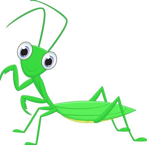 Premium Vector Cute Praying Mantis Grasshopper Cartoon