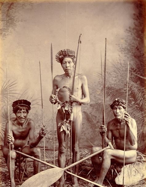 Indigenous Peoples Of The Caribbean Siboney Locono Gallabiineri
