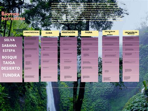 Mapas Conceptuales Biomas Tipos De Ecosistemas Ecosis Vrogue Co