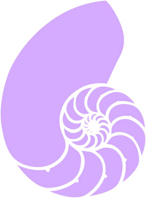Purple Nautilus Shell Clip Art At Vector Clip Art Online