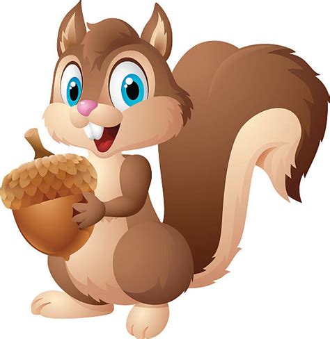 Best Squirrel Illustrations Royalty Free Vector Graphics