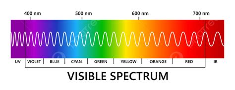 Visible Light Spectrum Wavelength Ray Education Red Diagram Png And