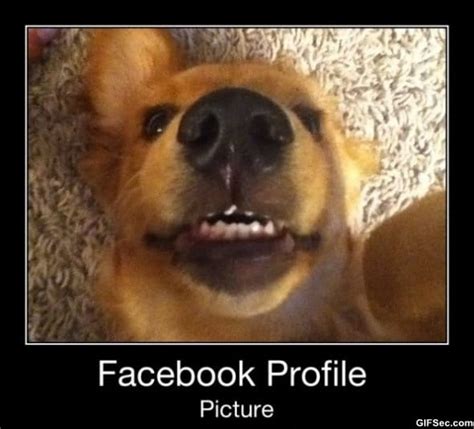Facebook Profile Picture