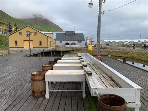Viking heliskiing var stofnað af þeim jóhanni hauki hafstein og björgvini björgvinssyni. Herring Era Museum (Siglufjordur) - 2020 All You Need to ...