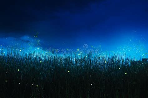 Firefly On A Grass Field At Night Stock Photo Image Of Forest Flying